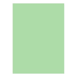 Cartolina 50x65cm Verde Suave 3A 180g 1 Folha - Neutral 17205924/UN