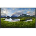 DEL PRO MONITOR 24" PLUS P2425H - Dell DELL-P2425HWO