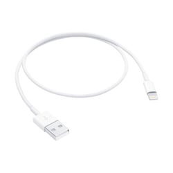 APPLE CABLE LIGHTNING TO USB 0.5 M - Apple ME291ZM/A