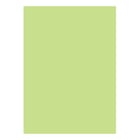 Cartolina A4 180g Verde Suave 3A 1 - Outras 1725971/UN