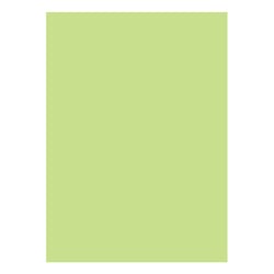 Cartolina A4 180g Verde Suave 3A 1 - Outras 1725971/UN