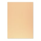 Cartolina 50x65cm Papaia 6 250g 1 Folha - Neutral 17205958/UN