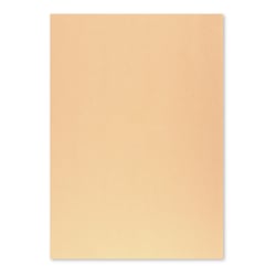 Cartolina 50x65cm Papaia 6 250g 1 Folha - Neutral 17205958/UN
