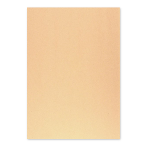 Cartolina 50x65cm Papaia 6 250g 1 Folha - Neutral 17205958/UN