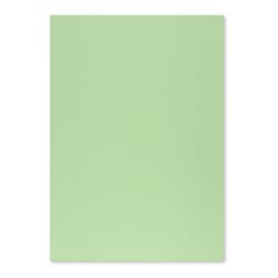 Cartolina 50x65cm Verde Suave 3A 250g 1 Folha - Neutral 17205907/UN