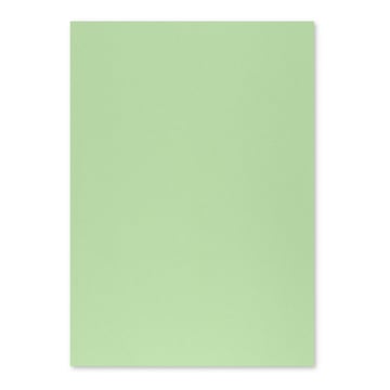 Cartolina 50x65cm Verde Suave 3A 250g 1 Folha - Neutral 17205907&#47;UN