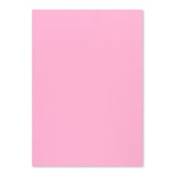 Cartolina 50x65cm Rosa 7A 250g 1 Folha - Neutral 17205962/UN