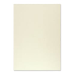 Cartolina 50x65cm Cinzento 9 180g 1 Folha - Neutral 17205906/UN