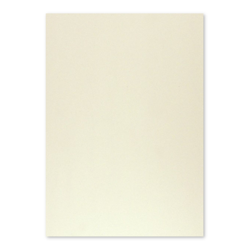 Cartolina 50x65cm Cinzento 9 180g 1 Folha - Neutral 17205906/UN