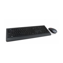 Lenovo Professional Wireless Combo Keyboard & Mouse (French) - Lenovo 4X30H56806