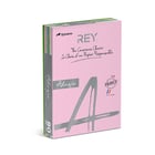 Papel Fotocopia 5 Cores Suaves A4 080gr 5x100=500Fls (Rosa Canário Marfim Azul Verde) - Adagio 1801021