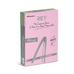 Papel Fotocopia 5 Cores Suaves A4 080gr 5x100=500Fls (Rosa Canário Marfim Azul Verde) - Adagio 1801021