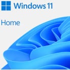 LICENÇA ESD em Windows Home 11 64-bit All Lng PK Lic Online DwnLd NR - Microsoft KW9-00664