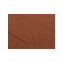 Cartolina 50x65cm Chocolate 185g 1 Folha Canson - Canson 17240242