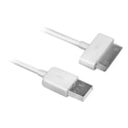 EWENT CABO USB2.0 TO APPLE 30 PIN WHITE 1.5MT - Ewent EW9903
