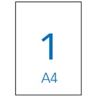 Etiquetas brancas à prova de intempéries 210 x 297 mm 10 folhas - APLI 206191