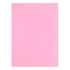 Cartolina 50x65cm Rosa 7A 180g 1 Folha - Neutral 17205921/UN