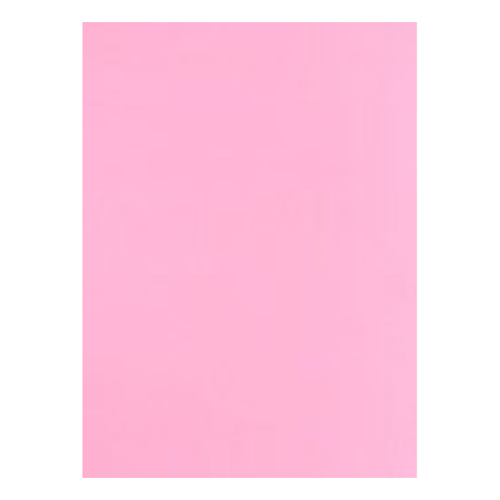 Cartolina 50x65cm Rosa 7A 180g 1 Folha - Neutral 17205921/UN