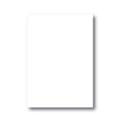 Cartolina A4 250gr Antelope 100Folhas Branco - Neutral 1721520401