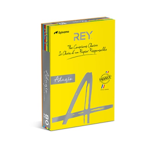 Papel Fotocopia 5 Cores Fortes A4 080gr 5x100=500Fls (Amarelo Vermelho Azul Escuro Verde Escuro Laranja) - Adagio 1801022