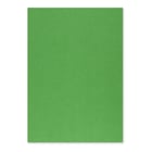 Cartolina 50x65cm Verde Intenso 3M 250g 1 Folha - Neutral 17205908/UN