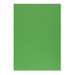 Cartolina 50x65cm Verde Intenso 3M 250g 1 Folha - Neutral 17205908/UN