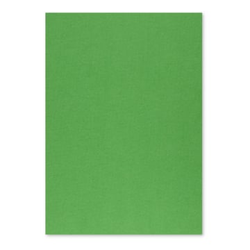 Cartolina 50x65cm Verde Intenso 3M 250g 1 Folha - Neutral 17205908&#47;UN