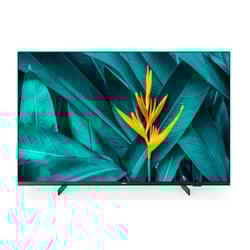 PHILIPS TV 50" UHD 4K SMART TV HOSPITALITY CHROMECAST ANDROID 50HFL5214U - Philips 50HFL5214U/12