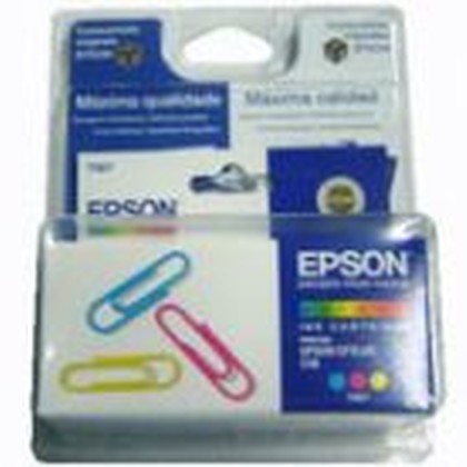 Epson Tinteiro Cor T0670 - Epson C13T06704020