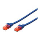 DIGITUS CHICOTE CAT6 UTP LSZH 0.25MT AZUL - DIGITUS DK-1617-0025/B