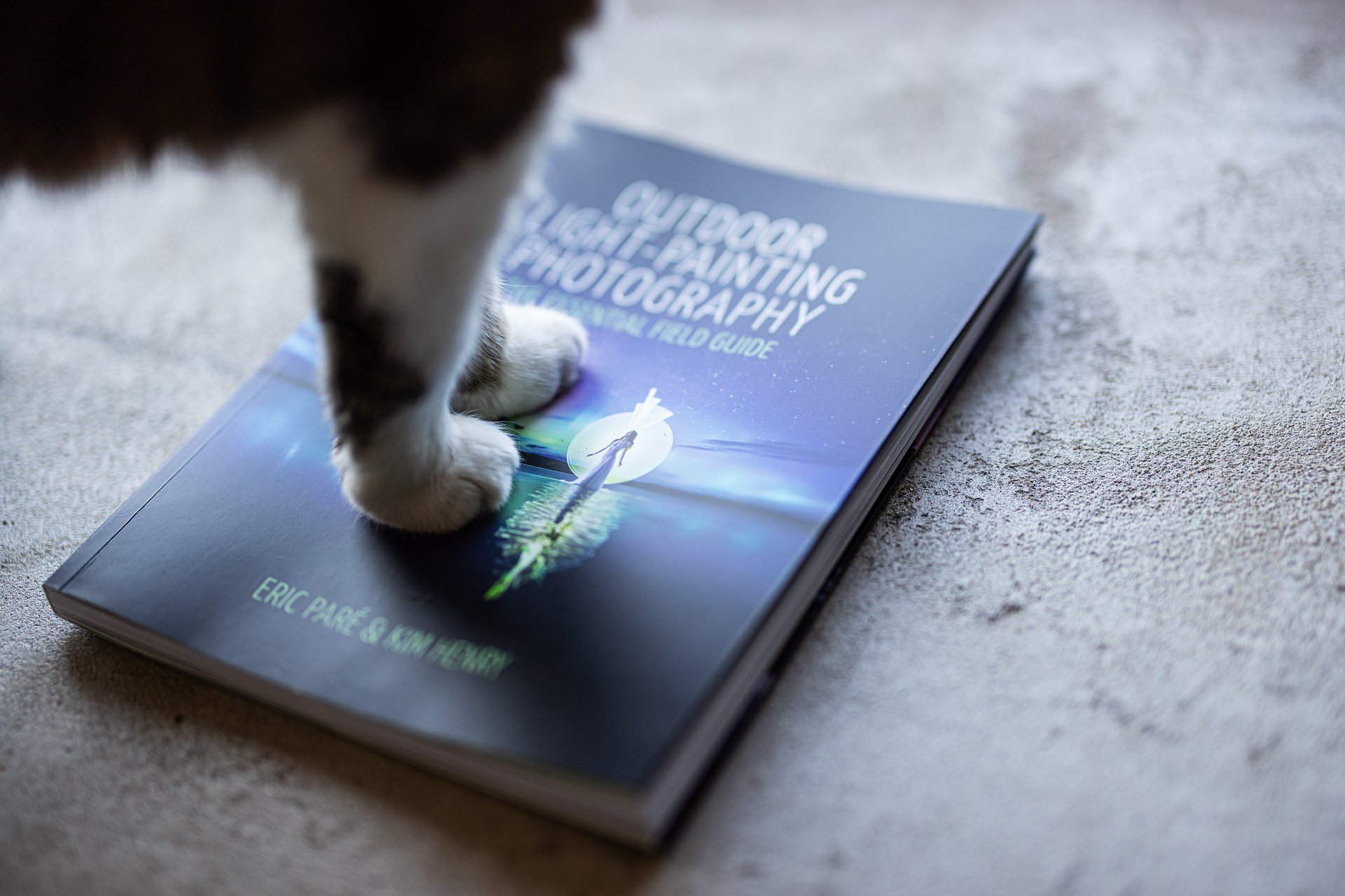 Close-up of a cat's paws on the cover of Outdoor Light-Painting Photography: The Essential Field Guide.