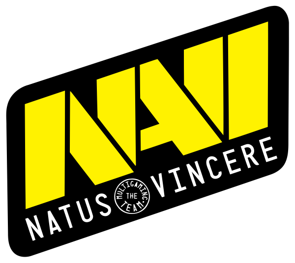 NaVi logo