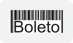 boleto icon