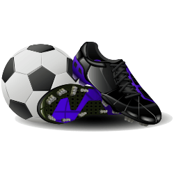 calcio icon