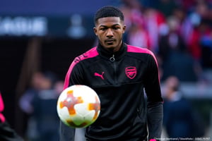 Ainsley Maitland Niles