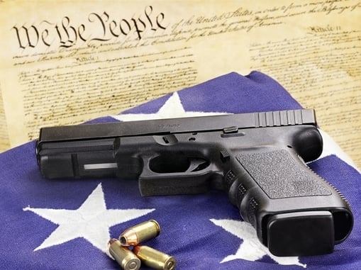 The Impact of Proposed Gun Control Legislation