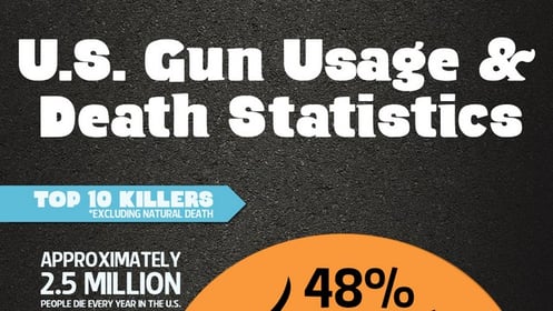 U.S. Gun Usage and Death Statistics