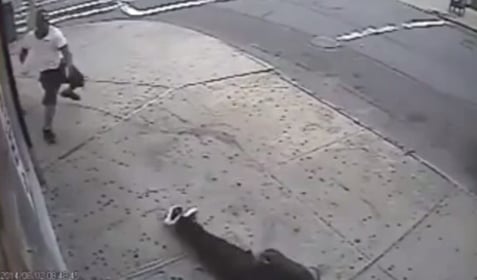 [VIDEO] Shooting In Broad Daylight In The Gun Free Zone Of Brooklyn
