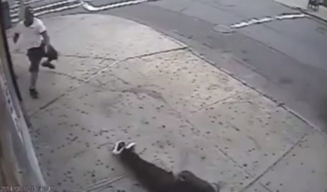 [VIDEO] Shooting In Broad Daylight In The Gun Free Zone Of Brooklyn