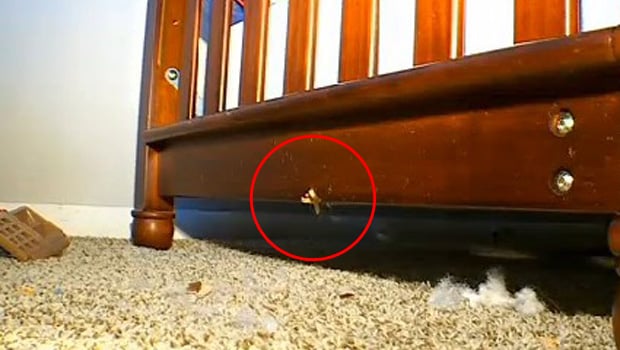 ScreenHunter_84 Sep. 26 01.09