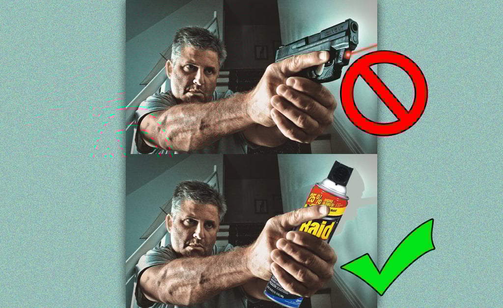 gun-or-wasp-spray-home-intruder-invasion