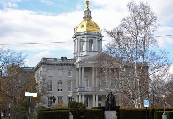 Indecisive NH Lawmakers Allow Concealed Carry In House Chambers . . . Again