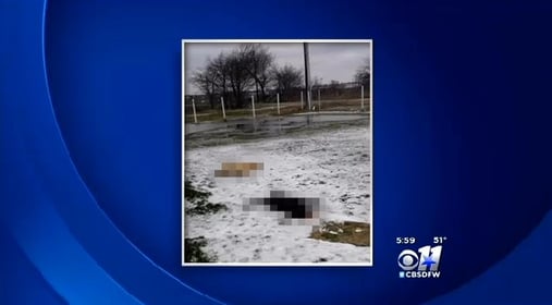 Texas Man Shoots And Kills Neighbor’s Dogs, Boasts About It On Facebook And Uploads Picture