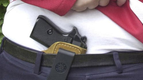 Florida State Campus Gun Bill Approved By Senate Committee