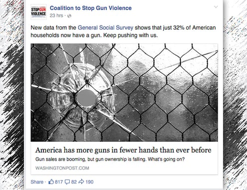 The Coalition To Stop Gun Violence Wants To Stop Guns All Together