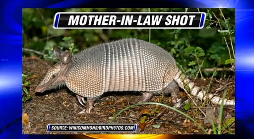 Know What’s Behind Your Ricocheting Bullet After It Bounces Off The Armadillo