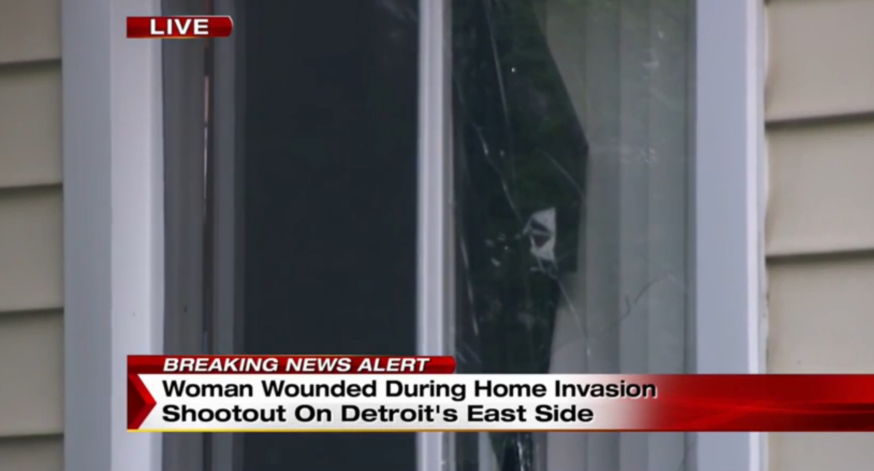 5 Armed Men Try To Enter Detroit Home, Female Concealed Carrier Inside Says Nope