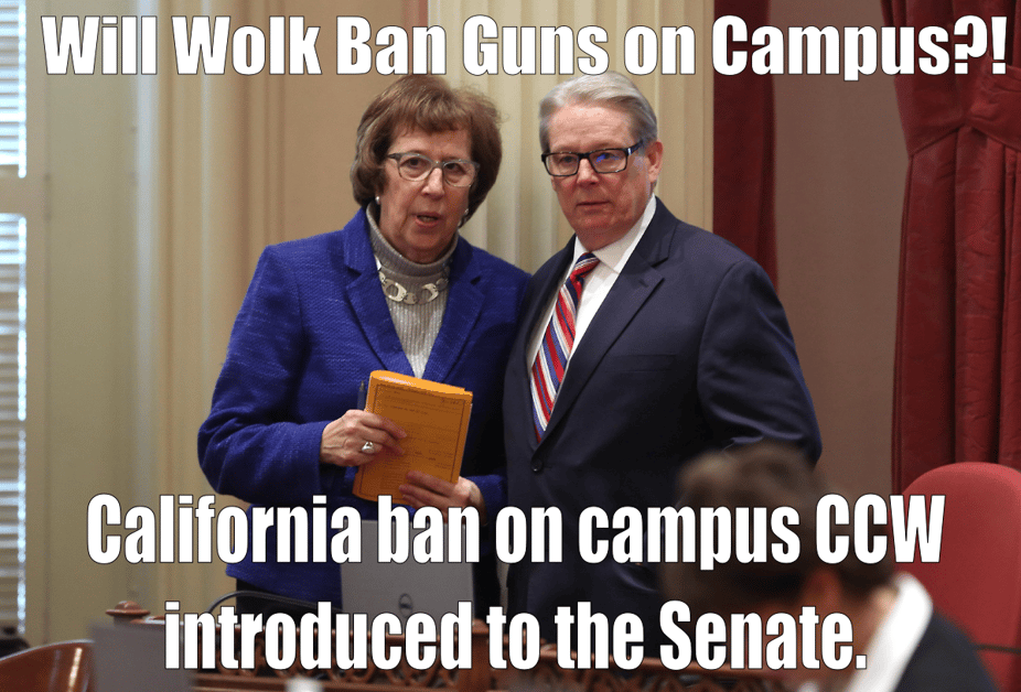 Lois Wolk D Davis introduces SB 707 to the California Senate floor SB 707 explicitly bans concealed carry on campus