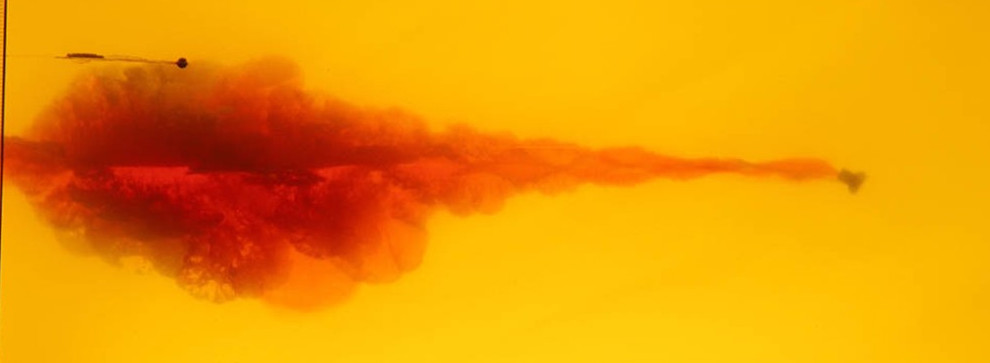 ballistic-gel-hollow-point