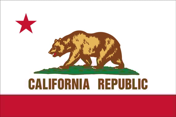 California’s Upcoming Concealed Carry Restrictions Halted by Federal Judge
